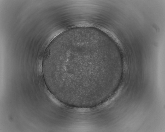 X0000112380889200909031950