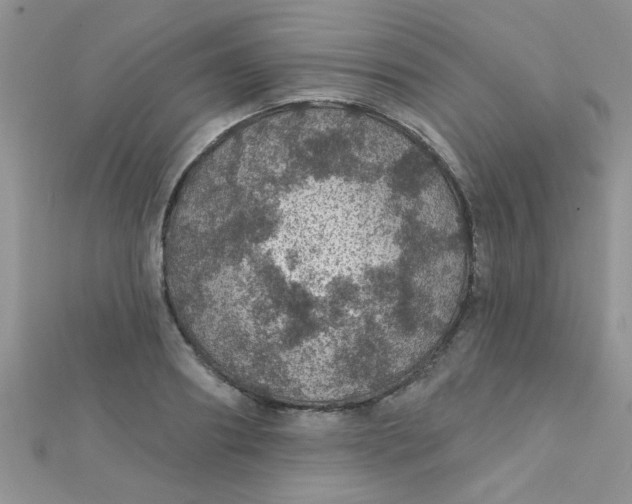 X0000112380890200909031950