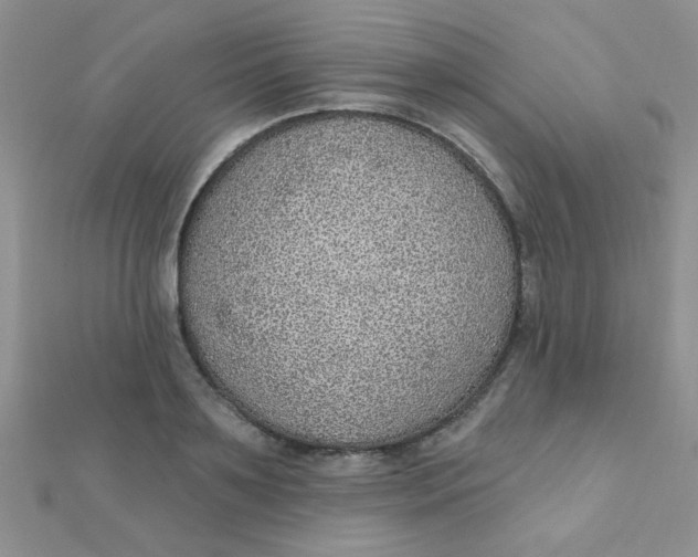 X0000112380891200909031950