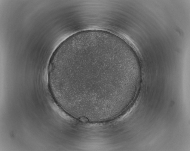 X0000112380892200909031950