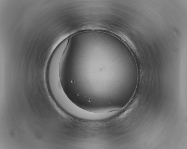 X0000112380893200909031950