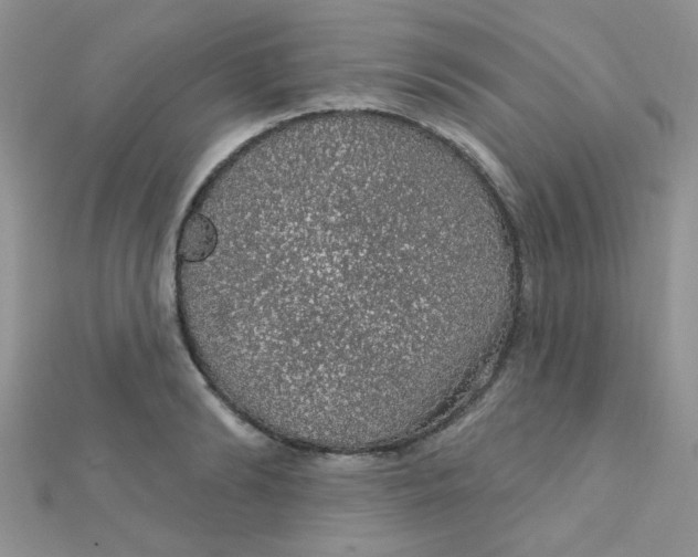 X0000112380894200909031950