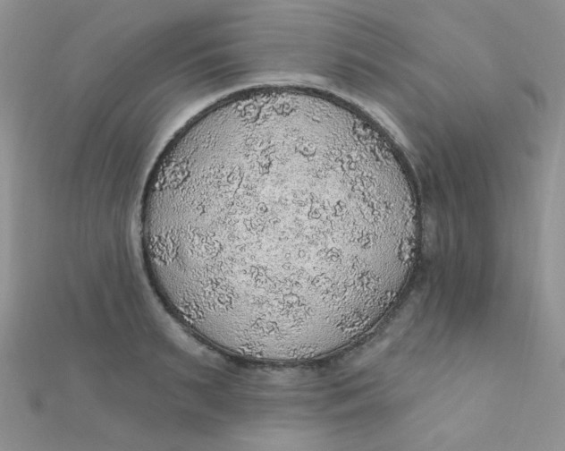 X0000112380895200909031950