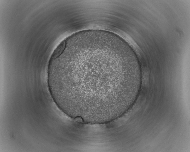 X0000112380896200909031950