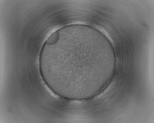 X0000112380898200909031950