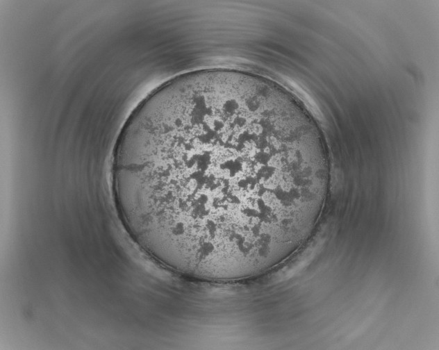 X0000112380899200909031950