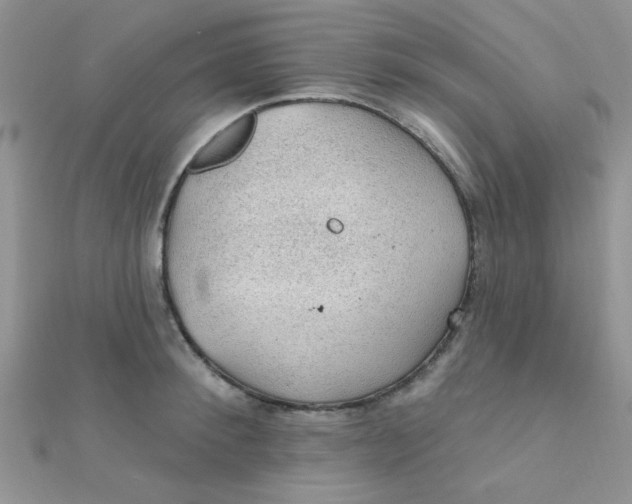 X0000112380900200909031950