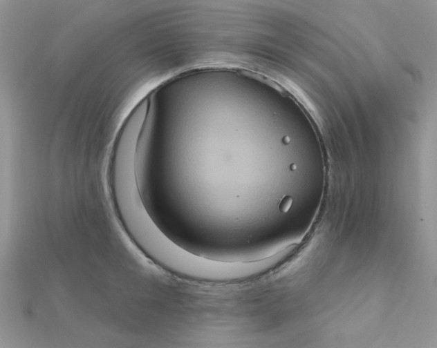 X0000112380901200909031950