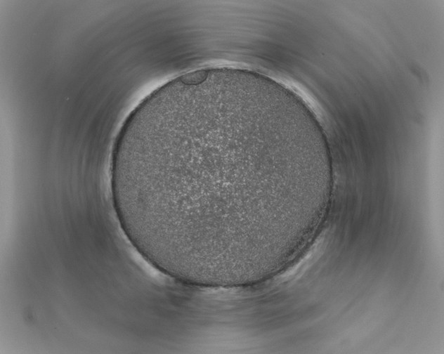 X0000112380902200909031950