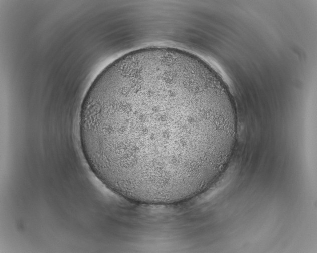 X0000112380903200909031950