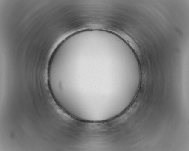 X0000112380904200909031949