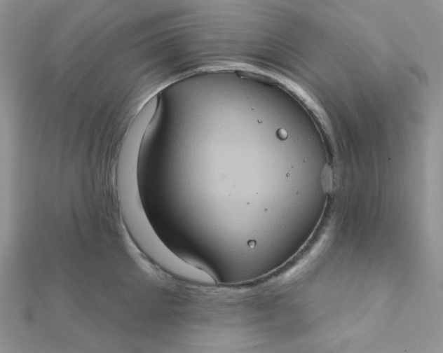 X0000112380905200909031949