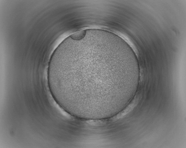 X0000112380906200909031949