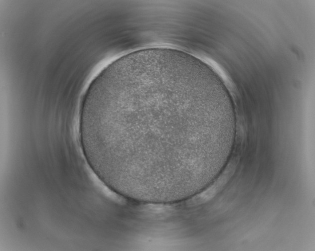 X0000112380910200909031949