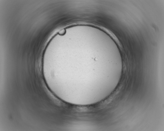 X0000112380911200909031949