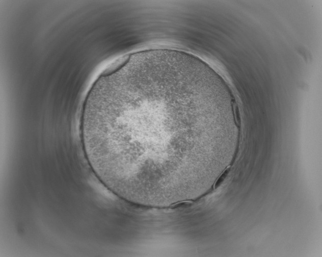 X0000112380912200909031949