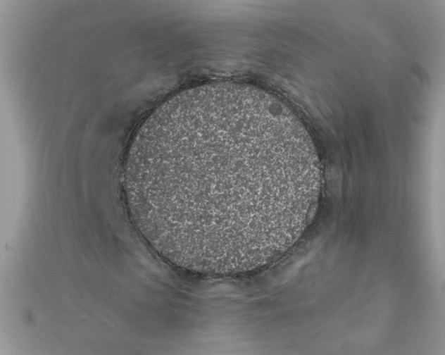 X0000112380913200909031949