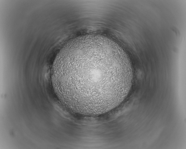 X0000112380914200909031949