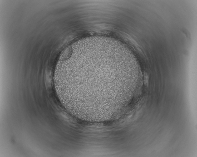 X0000112380915200909031949