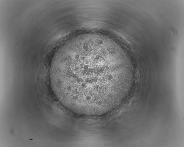 X0000112380917200909031949