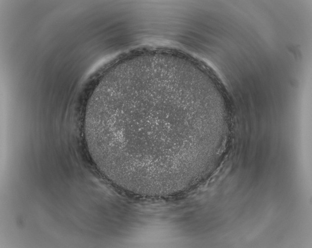 X0000112380919200909031949