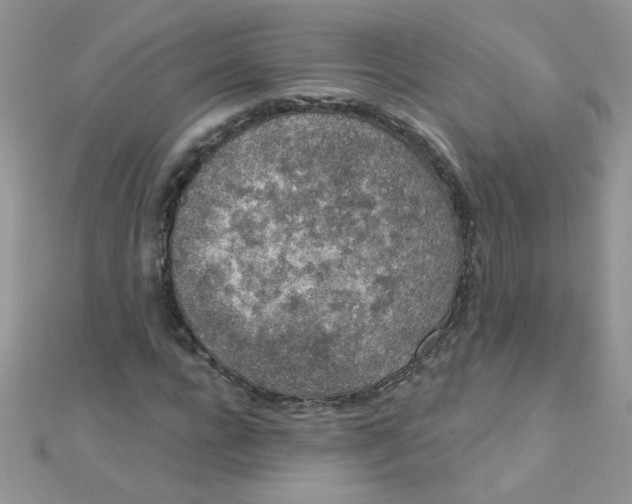 X0000112380920200909031949