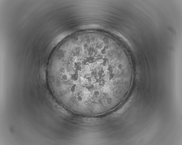 X0000112380921200909031949