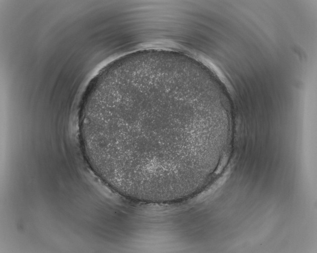 X0000112380923200909031949