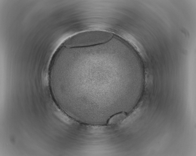 X0000112380924200909031949