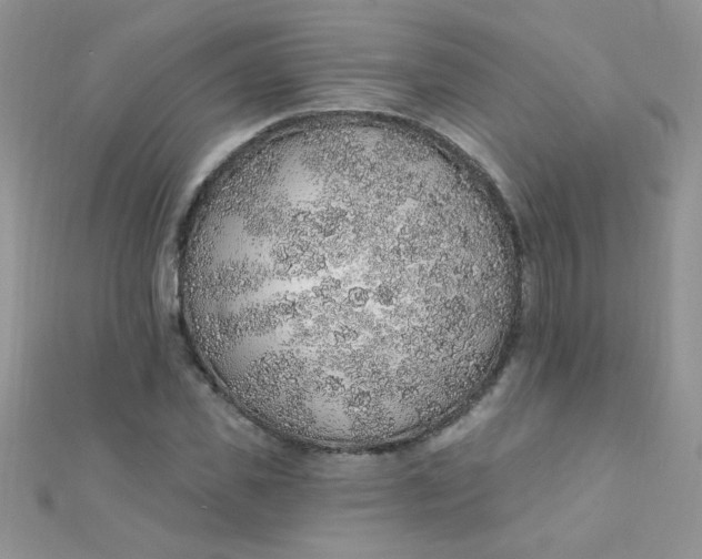 X0000112380925200909031949