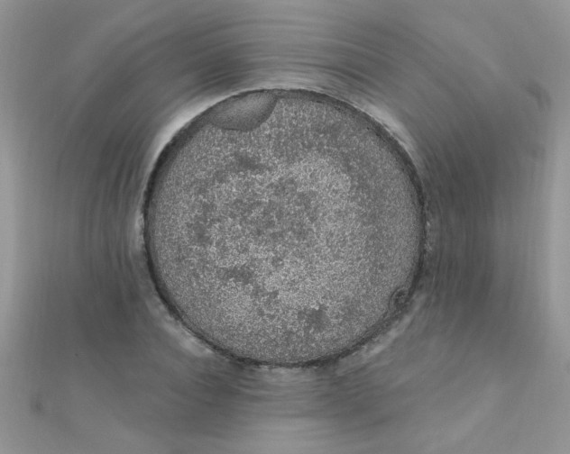 X0000112380928200909031949