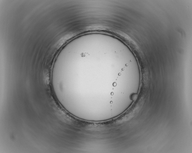 X0000112380929200909031949