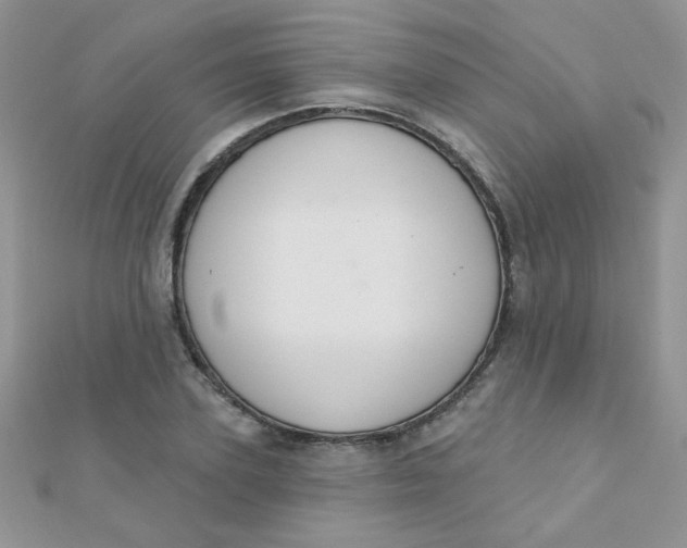 X0000112380931200909031949