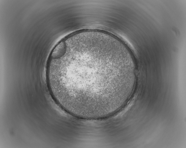 X0000112380932200909031949