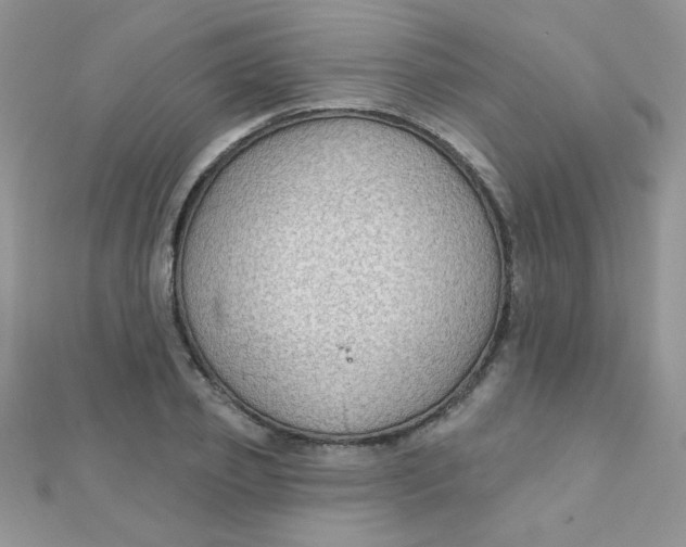 X0000112380933200909031949