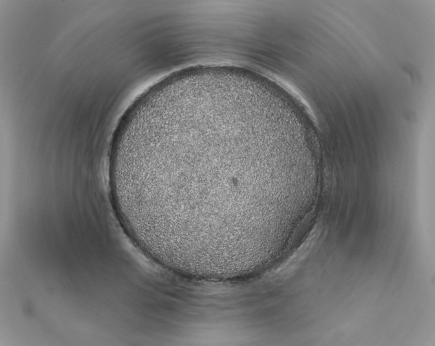 X0000112380935200909031949