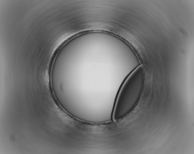 X0000112380936200909031949