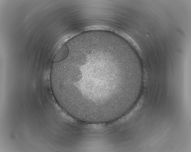 X0000112380937200909031949