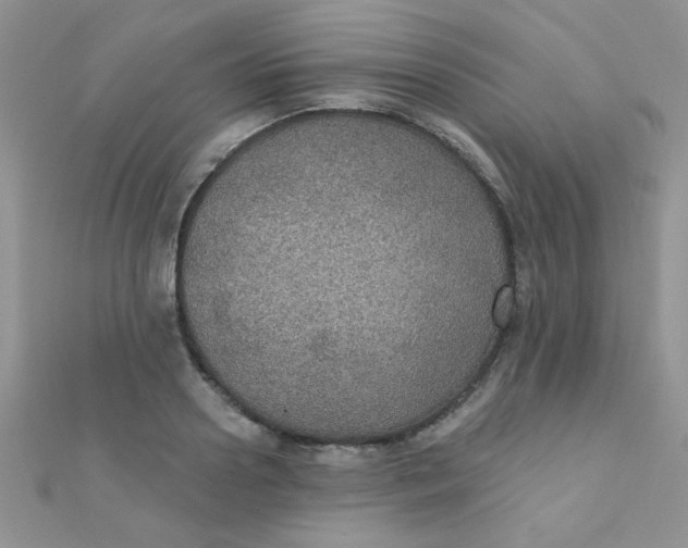 X0000112380938200909031949