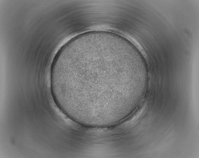 X0000112380939200909031949