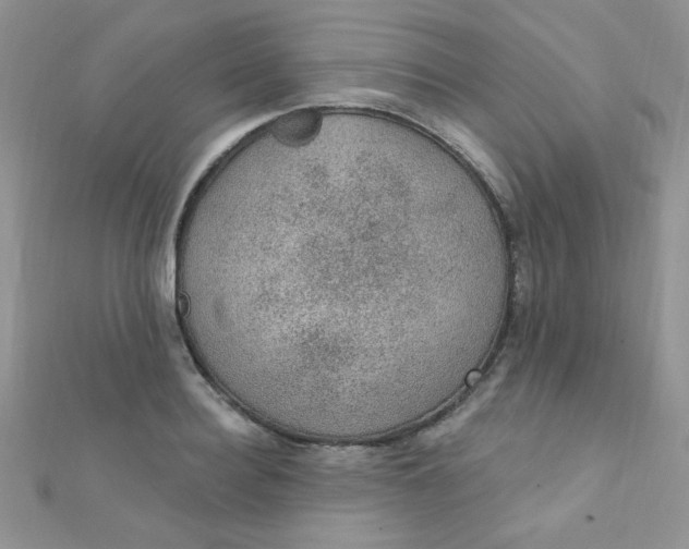 X0000112380940200909031949