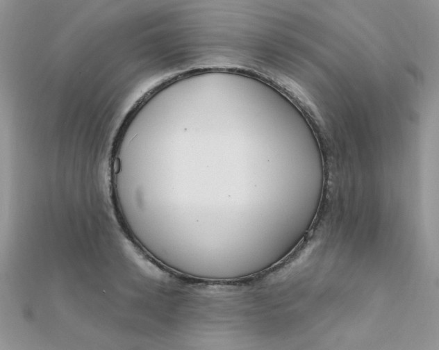 X0000112380942200909031949