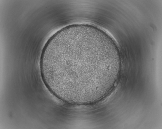 X0000112380943200909031949