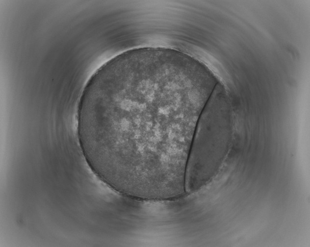 X0000112380944200909031949