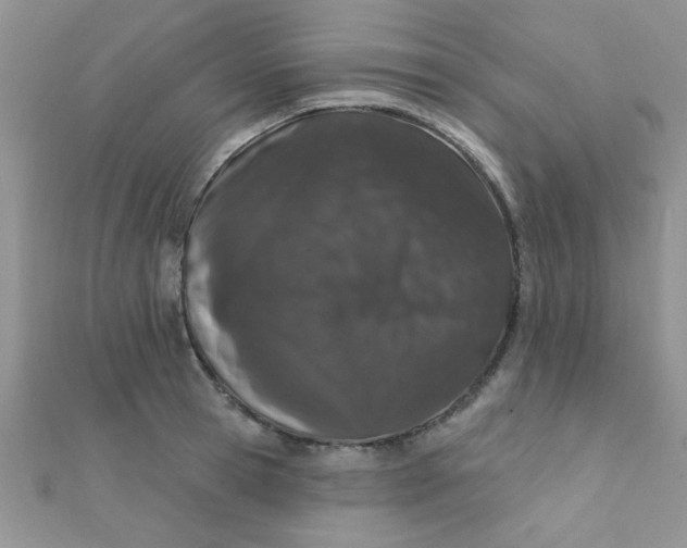 X0000112380945200909031949