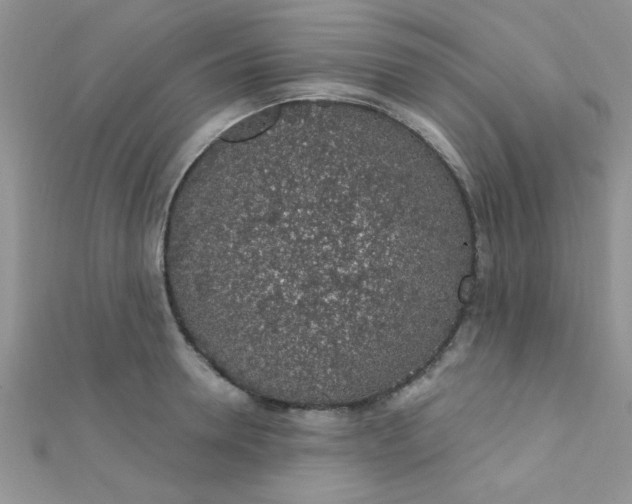 X0000112380946200909031949