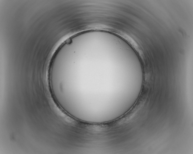 X0000112380947200909031949