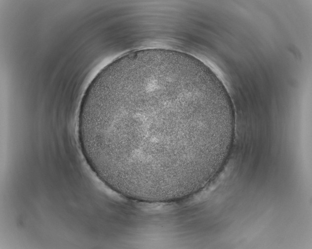 X0000112380949200909031949