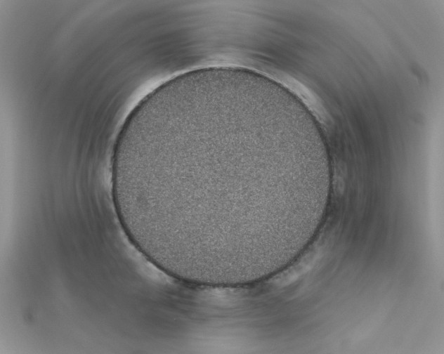 X0000112380950200909031949