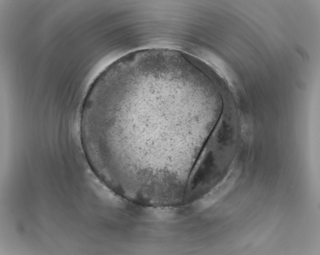 X0000112380952200909031949